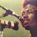 Jimi Hendrix - Experience - Original Sound Track From The Feature Length Motion Picture