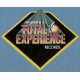 Total Experience Records