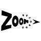 Zoom Records (2)