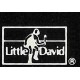 Little David Records